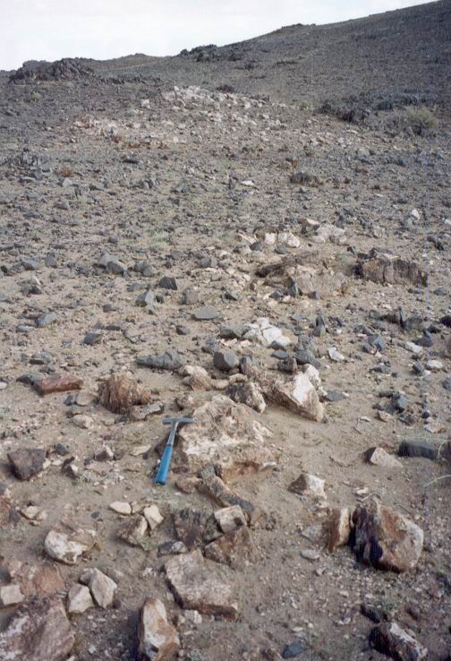 Bayan Khushu, Mongolsko