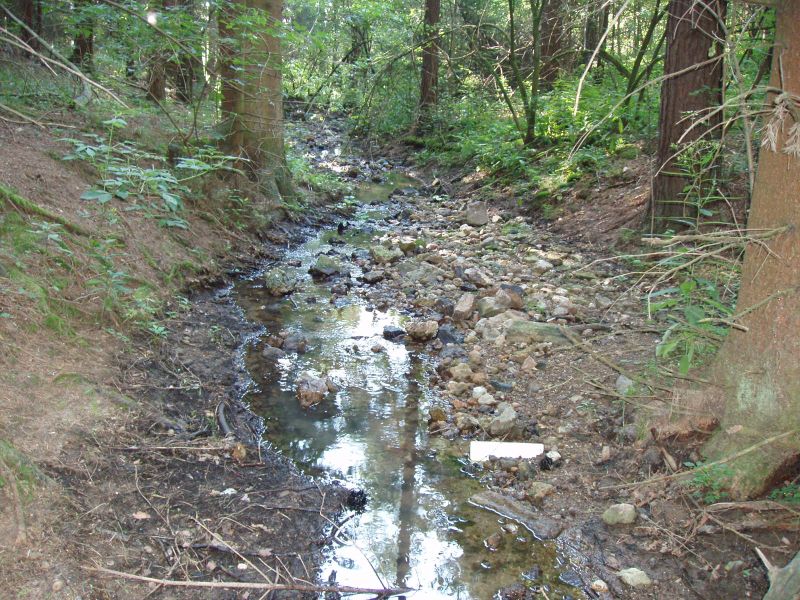 Bohouškovice, Česká republika