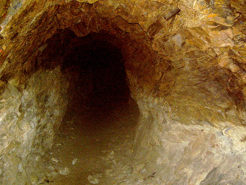 Borovec, Česká republika