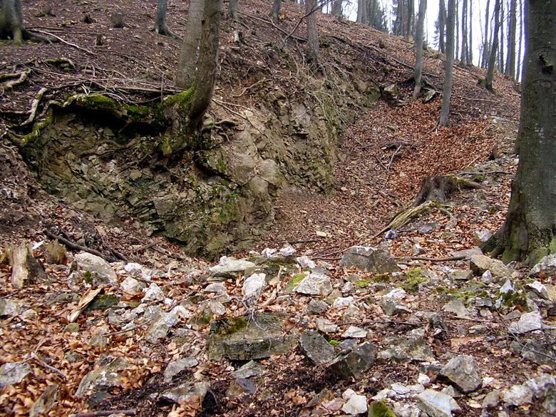 Borovec, Česká republika