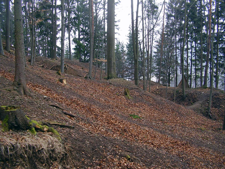 Borovec, Česká republika