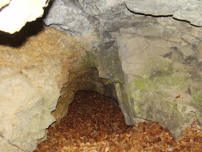 Borovec, Česká republika