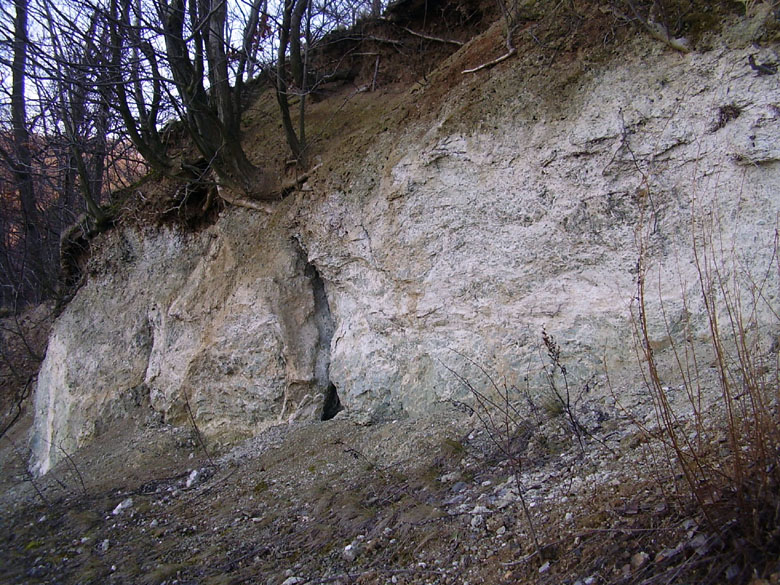 Brno, Kohoutovice, Česká republika