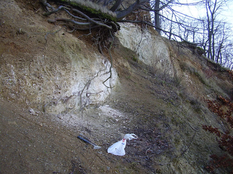 Brno, Kohoutovice, Česká republika