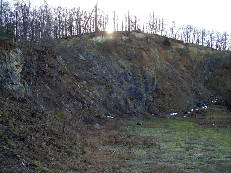 Brno, Kohoutovice, Česká republika