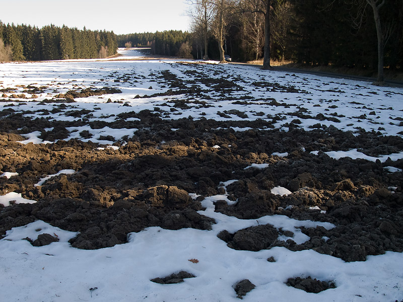 Česká Mez, Česká republika