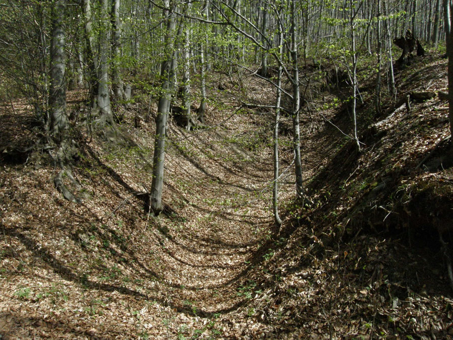 Chvojnica, Furststollen, Slovensko