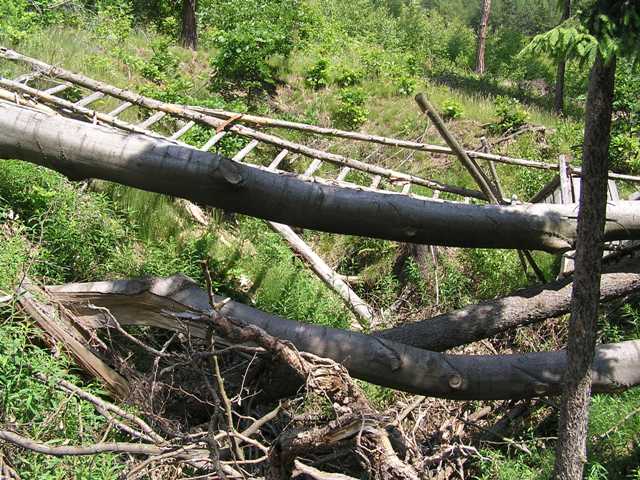 Ciboušov, Česká republika