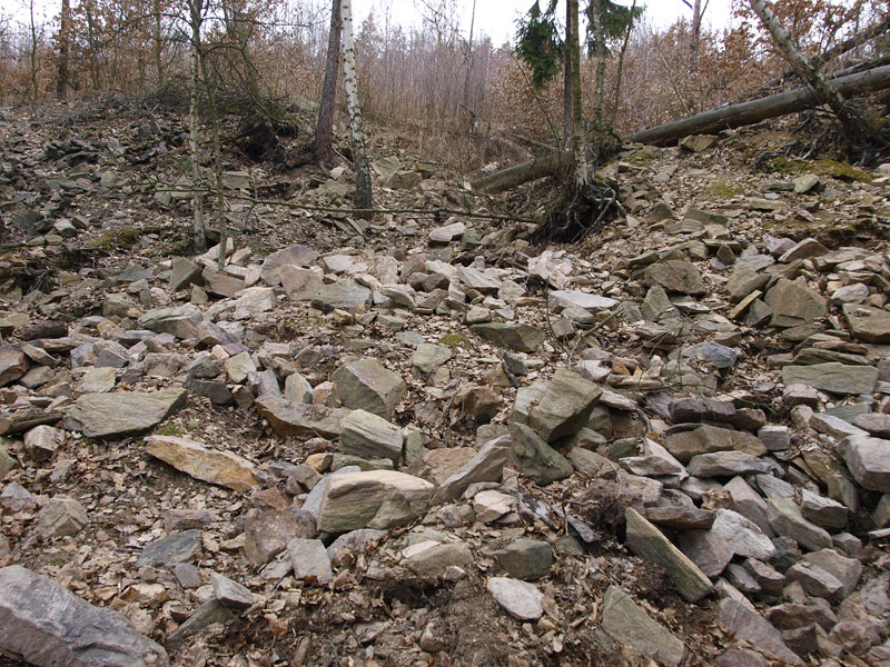 Ciboušov, Česká republika