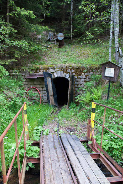 Čistá ve Slavkovském lese, Česká republika