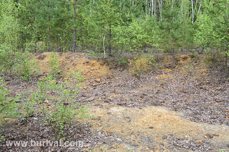 Dlouhá Ves, Česká republika