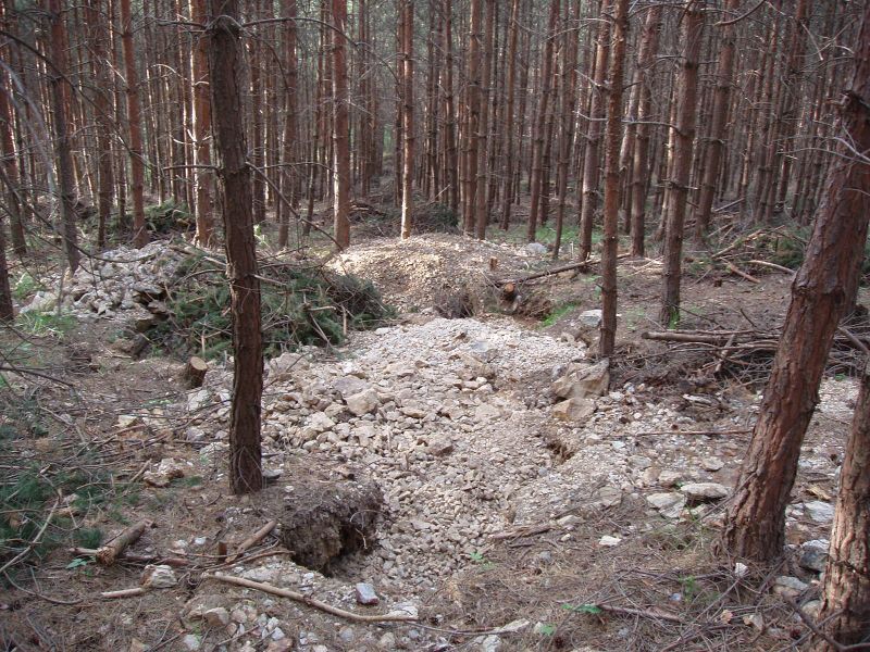 Dolní Bory, Česká republika