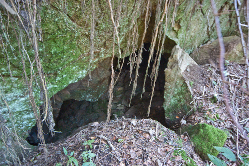 Dolní Lazy, Česká republika