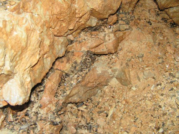 Dzunbayan 5, Mongolsko