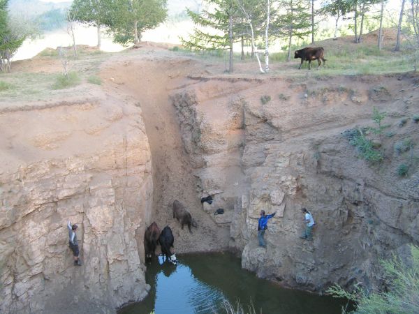 Gorkhi Massif, Mongolsko