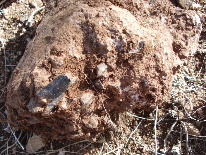 Gorkhi Massif, Mongolsko