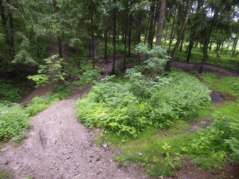 Horní Rokytnice, Česká republika