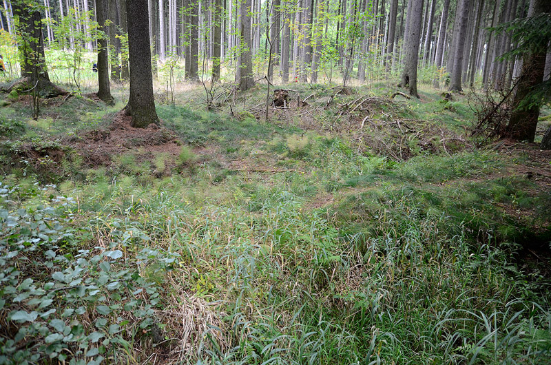 Hory u Předína, Česká republika