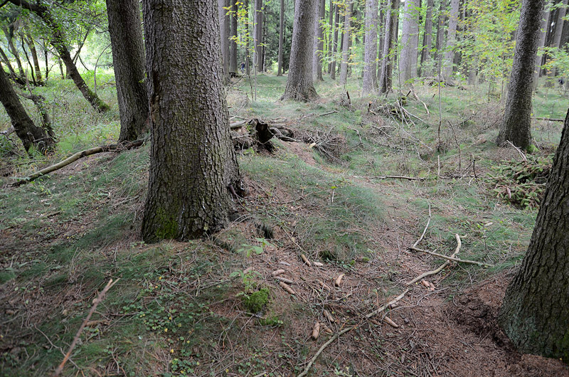 Hory u Předína, Česká republika