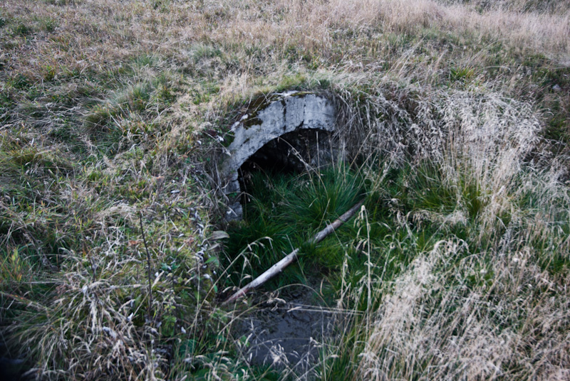 Jelení, Česká republika