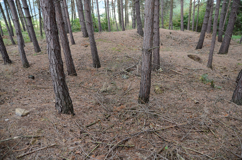 Jezdovice, Česká republika