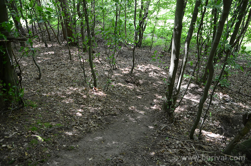 Kovářová, Česká republika