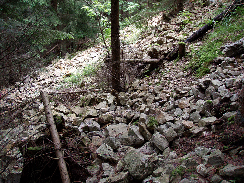 Kožlí, Česká republika