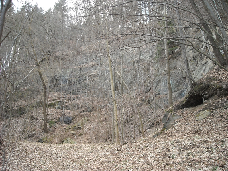 Kožušná, Sobotín, Česká republika