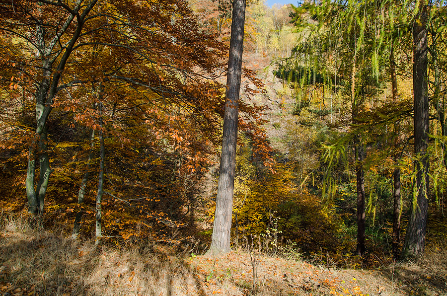 Krupka, Zwickenpinge, Česká republika