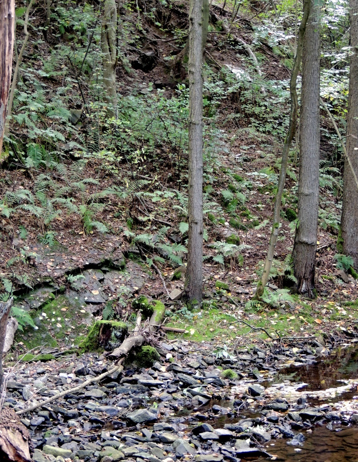 Kutná Hora, štola A. Paduánského, Česká republika