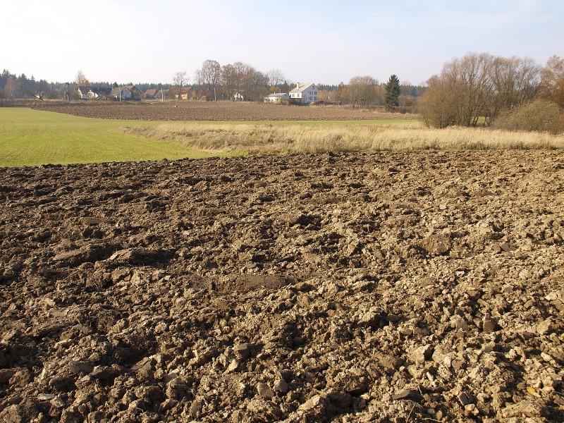 Laštovičky, Česká republika