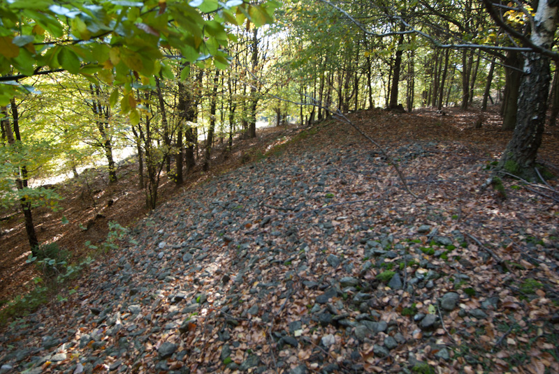 Lobzy, Slavkovský les, Česká republika