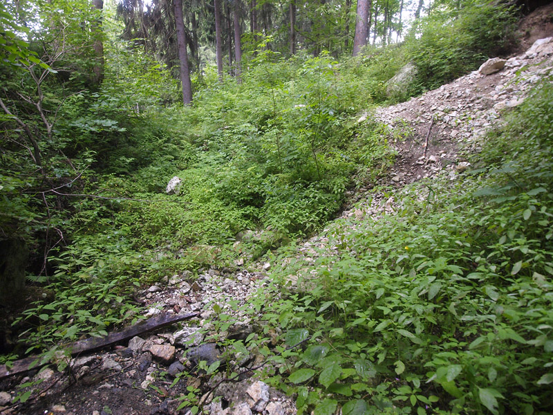 Maršíkov, Střelecký důl, Česká republika