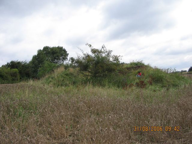 Mečichov, Česká republika