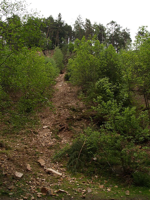 Nedvědice (fluorit), Česká republika