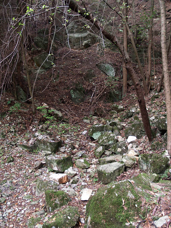 Nedvědice (modrý mramor), Česká republika