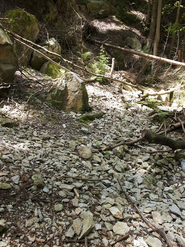 Nedvědice (modrý mramor), Česká republika