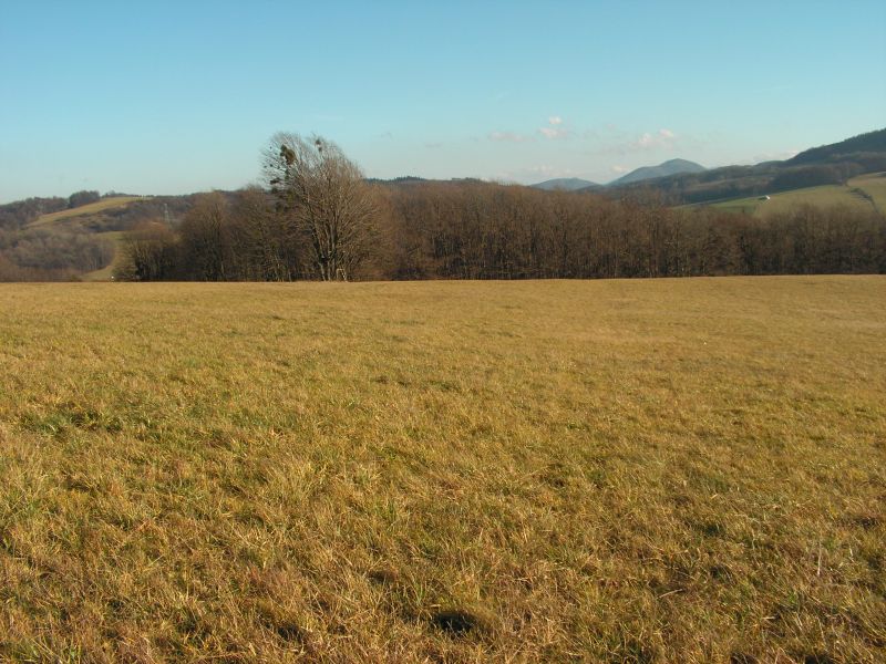 Nový Jičín - Žilina, Česká republika