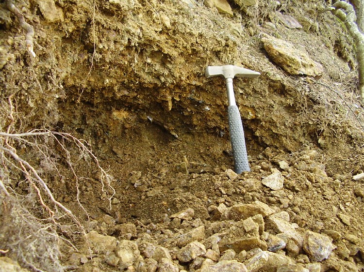 Olší, Česká republika