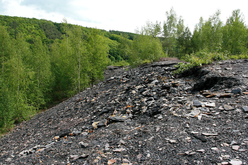 Otvovice, Česká republika