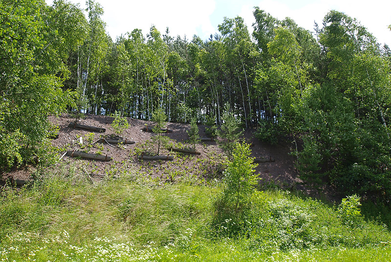 Petrovice, Česká republika