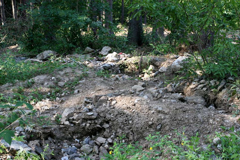 Pokojovice, Česká republika