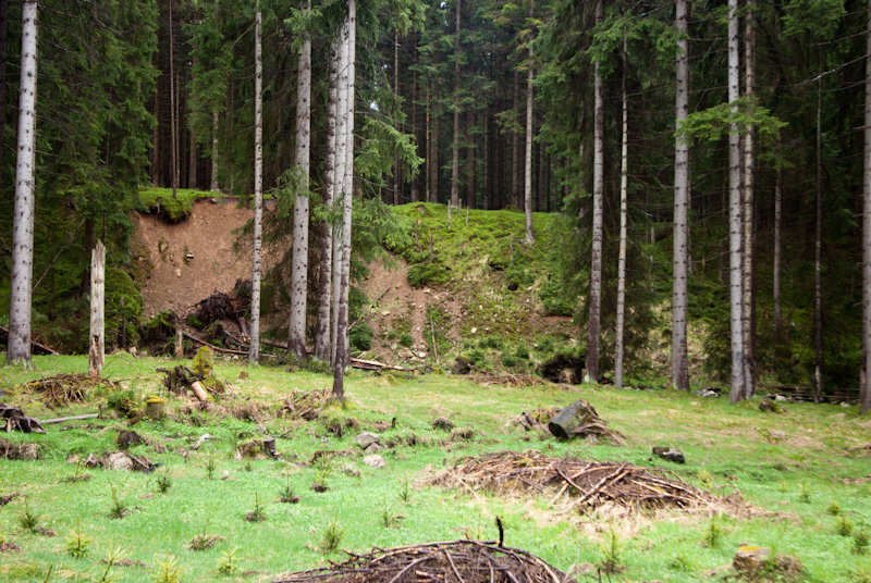 Potůčky, Pila, Krušné hory, Česká republika