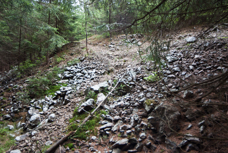 Potůčky, Stráň, Krušné hory, Česká republika