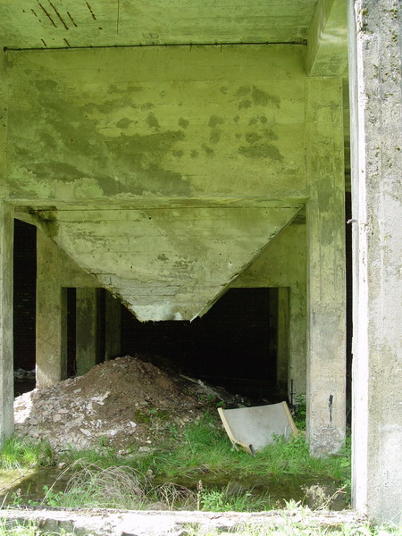 Přebuz, Česká republika