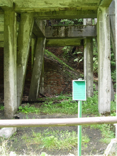 Přebuz, Česká republika