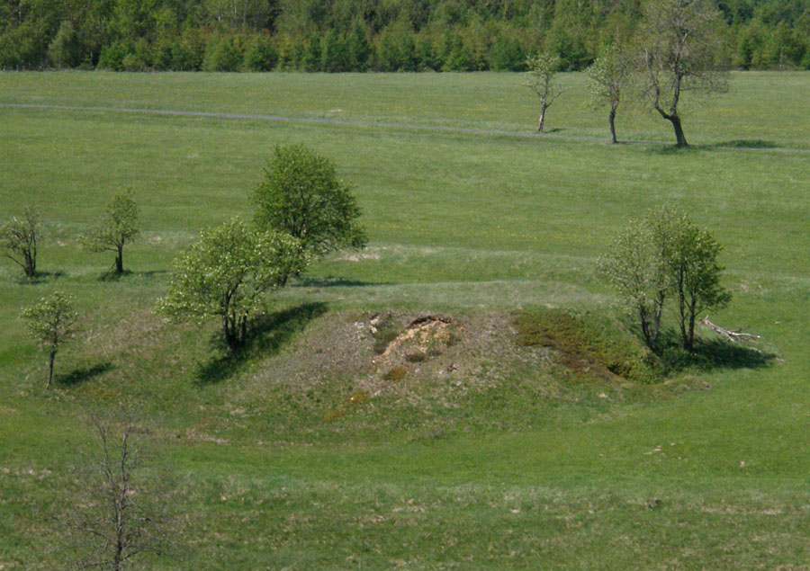 Přísečnice, Česká republika