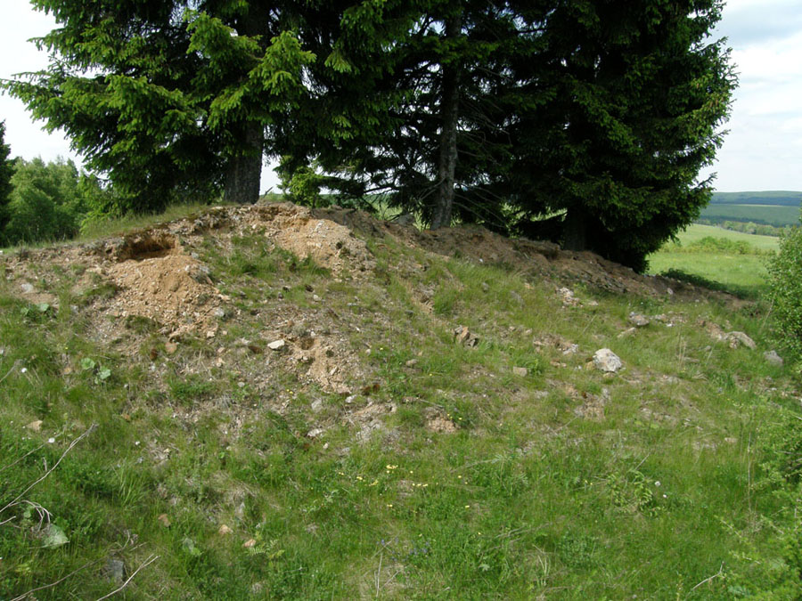 Přísečnice, Česká republika