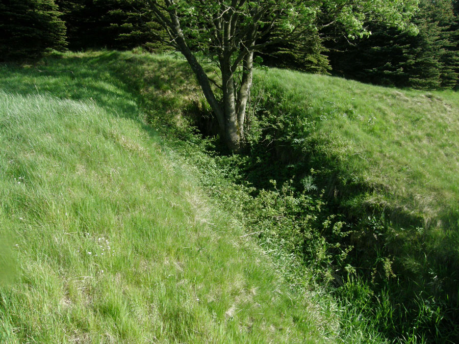 Přísečnice, Česká republika