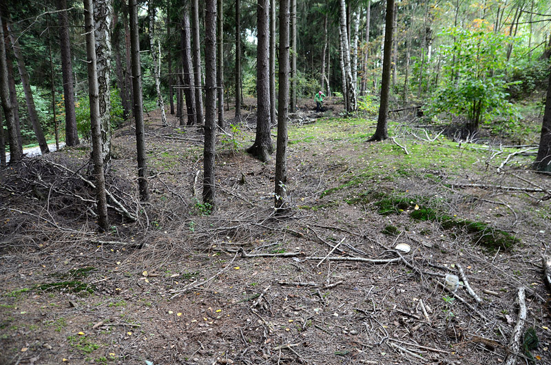 Rančířov, Česká republika